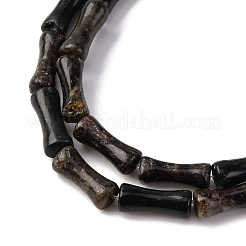 Natural Biotite Beads Strands&nbsp;G-L624-G09-12x5mm