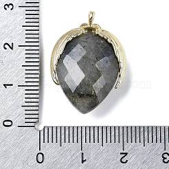Natural Labradorite Pendants&nbsp;G-U019-01G-02