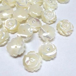 Half Drilled Natural White Shell Rose Flower Flatback Beads&nbsp;X-SH159