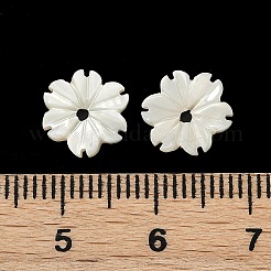 Natural Trochus Shell Flower Charms&nbsp;SHEL-K006-46B