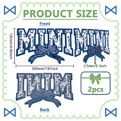 Polyester Iron on/Sew On Patches&nbsp;DIY-WH0593-02B