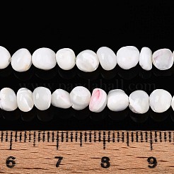 天然トロチッドシェル/トロカスシェルビーズ連売り  ナゲット  乳白色  4~6x2.5~6mm  穴：0.6mm  約84~92個/連  15.35~15.55インチ（39~39.5cm）&nbsp;SSHEL-N040-06