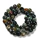 Natural Indian Agate Beads Strands&nbsp;G-P497-01E-89-3