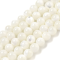 天然石シーシェルビーズ連売り  ラウンド  乳白色  6mm  穴：1mm  約68~80個/連  15.75インチ