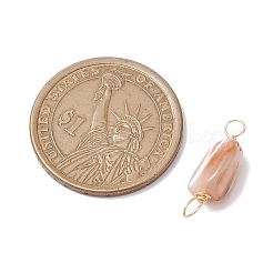 天然貝殻の塊のリンクコネクタチャーム  銅線二重ループ付き  ゴールドカラー  10~11x5.5~6x4.5~7mm  穴：3~3.5mm&nbsp;PALLOY-JF02843