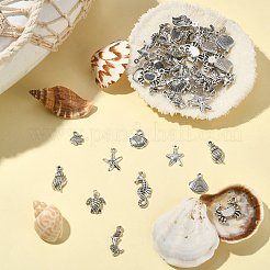 Tibetan Style Alloy Pendants&nbsp;TIBEP-CJ0001-10