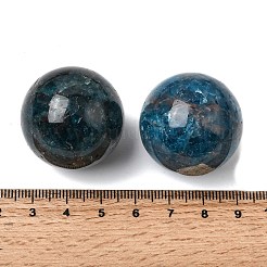 Natural Apatite No Hole Sphere Beads&nbsp;G-I367-05-12