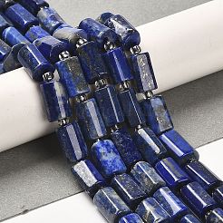Natural Lapis Lazuli Beads Strands&nbsp;LS-G-N327-06-13