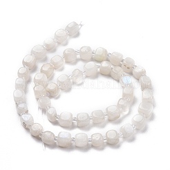 Natural Rainbow Moonstone Beads Strands&nbsp;G-K323-11