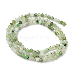 Natural Chrysoprase Beads Strands&nbsp;LS-G-RM2025-A39-3mm