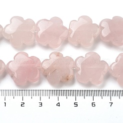 Natural Rose Quartz Beads Strands&nbsp;G-F769-X01-02