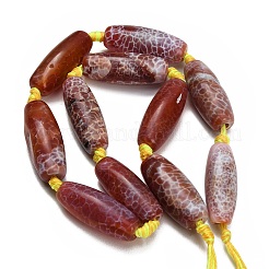 Dyed & Heated Natural Fire Crackle Agate Beads Strands&nbsp;GG-CBAB9C6-A01-01