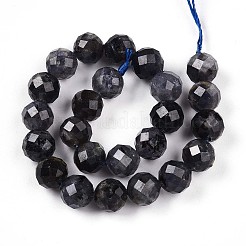Natural Cordierite/Iolite/Dichroite Beads Strands&nbsp;G-S345-8mm-27