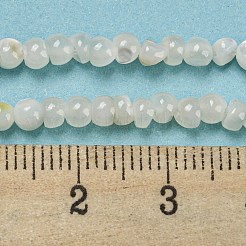 Natural White Shell Dyed Beads Strands&nbsp;BSHE-Z005-03G