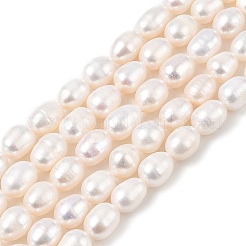 Natural Cultured Freshwater Pearl Beads Strands&nbsp;PEAR-I007-01D-06A-02