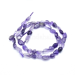 Natural Amethyst Beads Strands&nbsp;G-L550A-05