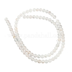 天然樹枝状瑪瑙ビーズ連売り  グレードAB  ラウンド  4mm  穴：0.9mm  約92~93個/連  14.96''（38センチメートル）&nbsp;G-C011-4mm-01