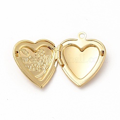 Brass Locket Pendants&nbsp;ZIRC-M120-01G