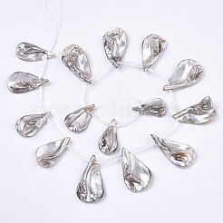 Spray Painted Natural Freshwater Shell Beads Strands&nbsp;X-SHEL-S276-69B