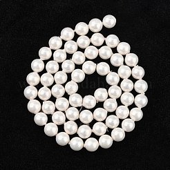 Shell Bead Strands&nbsp;BSHE-R146-6mm-02