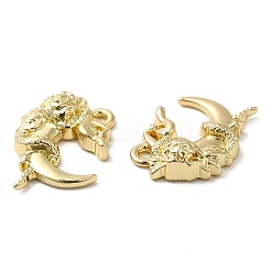 ラックめっき合金ペンダント  アクリルと  鉛フリー＆カドミウムフリー  花の月  ライトゴールド  18x14x4.5mm  穴：1.2mm&nbsp;PALLOY-H129-12KCG