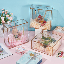 20Pcs Transparent PET Plastic Gift Boxes&nbsp;AJEW-BC0009-80A
