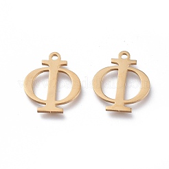 304 Stainless Steel Charms&nbsp;STAS-L263-05G