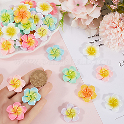 70Pcs 7 Colors Opaque Resin Decoden Cabochons&nbsp;RESI-SC0005-83B