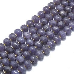 Natural Lepidolite/Purple Mica Stone Beads Strands&nbsp;G-P573-B05-01
