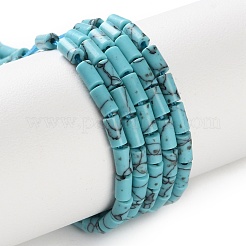 Dyed Synthetic Turquoise Beads Strands&nbsp;G-B124-A01-01
