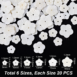 120個6スタイルナチュラルホワイトシェルビーズ  花  貝殻色  8~18x1.2~1.5mm  穴：1.3mm  20個/スタイル&nbsp;SHEL-GA0001-26