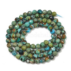 Natural HuBei Turquoise Beads Strands&nbsp;G-P629-A04-03
