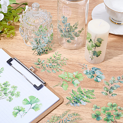 120Pcs 6 Styles Leaf PET Decorative Stickers&nbsp;DIY-SP0006-77