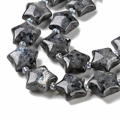 Natural Larvikite Beads Strands&nbsp;G-NH0005-016