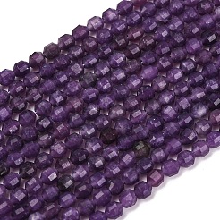 Natural Lepidolite/Purple Mica Stone Beads Strands&nbsp;G-A260-A04-01