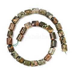 Natural Rhyolite Jasper Beads Strands&nbsp;G-S396-03B