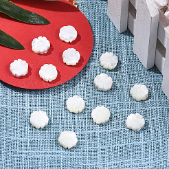 Natural Shell Beads Strands&nbsp;SSHEL-CJ0001-09
