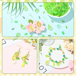 透明なアクリルパーツ  葉のチャーム  ミックスカラー  9.7~24x5~16x1.5~5mm  穴：1.2~2mm&nbsp;TACR-SZ0001-40