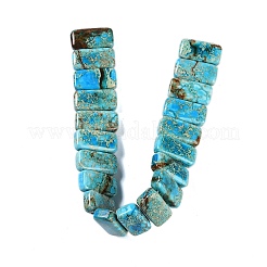 Natural Imperial Jasper Beads Strands&nbsp;G-L604-F01-01G