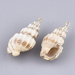 Electroplate Spiral Shell Pendants&nbsp;SSHEL-T007-04B