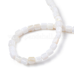 天然淡水シェルビーズ連売り  コラム  3.5x3.5mm  穴：0.8mm  約111~112個/連  14.76インチ〜14.96インチ（37.5~38cm）&nbsp;SHEL-N034-29B-01