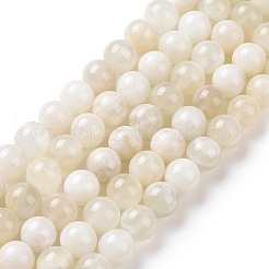 Natural White Moonstone Beads Strands&nbsp;G-F674-08-8mm-01