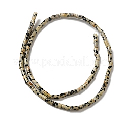 天然石ダルメシアンジャスパービーズ連売り  コラム  6x3mm  穴：0.8mm  約59~60個/連  15.08~15.20''（38.3~38.6センチメートル）&nbsp;G-E612-B01