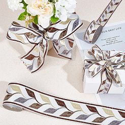 10M 2 Styles Embroidery Polyester Ribbon&nbsp;OCOR-GF0002-67B