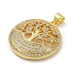 Rack Plating Brass Micro Pave Cubic Zirconia Pendants&nbsp;KK-F869-24G