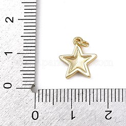 Brass Enamel Charms&nbsp;KK-B150-18G-01
