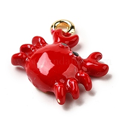 Zinc Alloy Enamel Pendants&nbsp;FIND-I044-17B-1