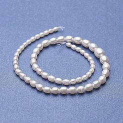 Natural Cultured Freshwater Pearl Graduated Beads Strands&nbsp;PEAR-P060-05A-01