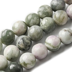 Natural Peace Jade Beads Strands&nbsp;X-G-E598-04B