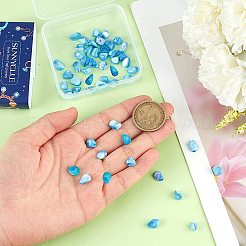 100 個の天然トロキッドシェル/トロキッドシェルビーズ  ナゲットチップス  空色  5~12x5~8x1~6mm  穴：1mm&nbsp;BSHE-SC0001-16A